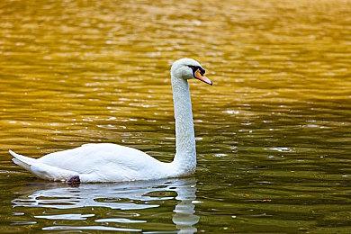 《守望先锋2》公布新英雄“朱诺” 8月21日正式上线